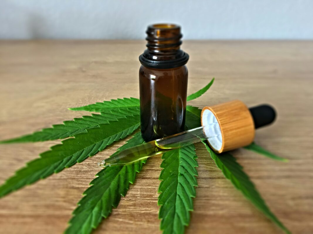 Cannabis oil dosage